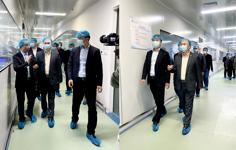 सौंदर्य प्रसाधन अनुकूलन